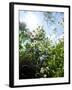 Garden Flowers-Tim Kahane-Framed Photographic Print