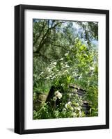 Garden Flowers-Tim Kahane-Framed Photographic Print