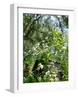 Garden Flowers-Tim Kahane-Framed Photographic Print