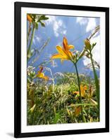 Garden Flowers-Tim Kahane-Framed Photographic Print