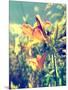 Garden Flowers-Tim Kahane-Mounted Photographic Print