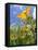 Garden Flowers-Tim Kahane-Framed Stretched Canvas