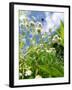 Garden Flowers-Tim Kahane-Framed Photographic Print