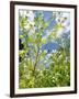 Garden Flowers-Tim Kahane-Framed Photographic Print