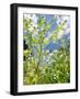 Garden Flowers-Tim Kahane-Framed Photographic Print