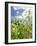 Garden Flowers-Tim Kahane-Framed Photographic Print