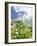 Garden Flowers-Tim Kahane-Framed Photographic Print