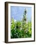 Garden Flowers-Tim Kahane-Framed Photographic Print