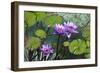 Garden Flowres-xdrew-Framed Photographic Print