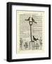 Garden Fork & Birds-Marion Mcconaghie-Framed Art Print