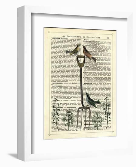 Garden Fork & Birds-Marion Mcconaghie-Framed Art Print