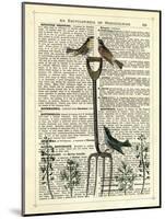 Garden Fork & Birds-Marion Mcconaghie-Mounted Art Print