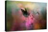 Garden Friend 1-Jai Johnson-Stretched Canvas