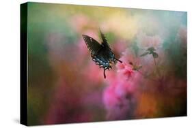 Garden Friend 1-Jai Johnson-Stretched Canvas