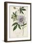 Garden Gems XI-Curtis-Framed Art Print