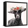 Garden Goat III-Victoria Borges-Framed Stretched Canvas