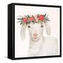 Garden Goat IV-Victoria Borges-Framed Stretched Canvas