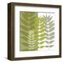 Garden Greens-Erin Clark-Framed Art Print