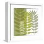 Garden Greens-Erin Clark-Framed Art Print