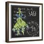 Garden Grown Herbs II-Andi Metz-Framed Art Print