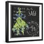 Garden Grown Herbs II-Andi Metz-Framed Art Print