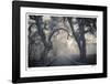 Garden Highway-Donald Satterlee-Framed Giclee Print