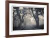 Garden Highway-Donald Satterlee-Framed Giclee Print