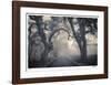 Garden Highway-Donald Satterlee-Framed Giclee Print