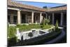 Garden, House of the Amorini Dorati (Golden Cupids), Roman Ruins of Pompeii, Campania, Italy-Eleanor Scriven-Mounted Photographic Print