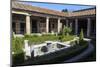 Garden, House of the Amorini Dorati (Golden Cupids), Roman Ruins of Pompeii, Campania, Italy-Eleanor Scriven-Mounted Photographic Print