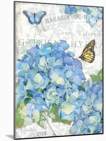 Garden Hydrangea I-Julie Paton-Mounted Art Print