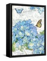 Garden Hydrangea I-Julie Paton-Framed Stretched Canvas