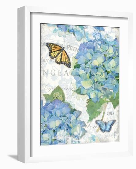 Garden Hydrangea II-Julie Paton-Framed Art Print