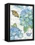 Garden Hydrangea II-Julie Paton-Framed Stretched Canvas