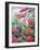 Garden Hydrangeas and Buddleia-Christopher Ryland-Framed Giclee Print