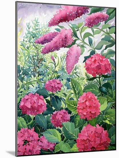 Garden Hydrangeas and Buddleia-Christopher Ryland-Mounted Giclee Print