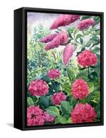 Garden Hydrangeas and Buddleia-Christopher Ryland-Framed Stretched Canvas