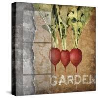 Garden I-Kory Fluckiger-Stretched Canvas