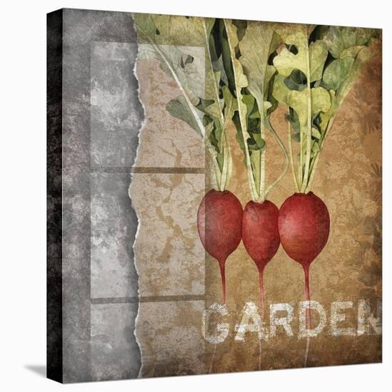 Garden I-Kory Fluckiger-Stretched Canvas