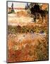 Garden in Arles Jardin a Arles-Vincent van Gogh-Mounted Mini Poster