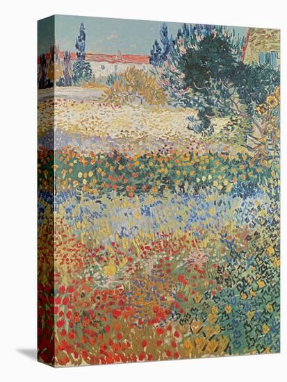 Garden in Bloom Arles, c.1888-Vincent van Gogh-Stretched Canvas