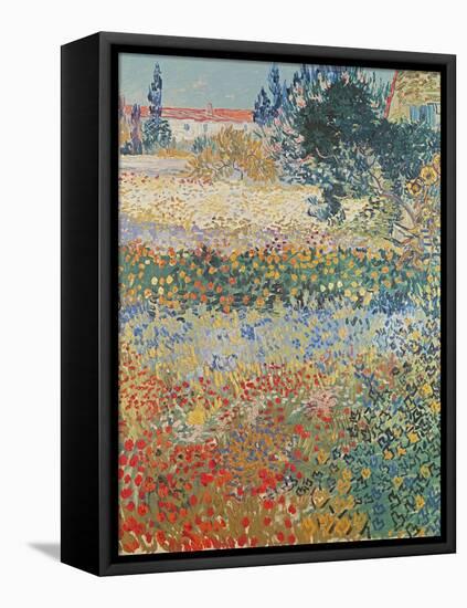 Garden in Bloom Arles, c.1888-Vincent van Gogh-Framed Stretched Canvas