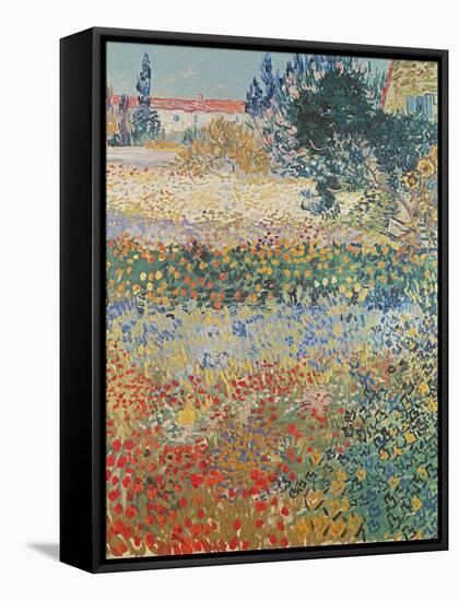 Garden in Bloom Arles, c.1888-Vincent van Gogh-Framed Stretched Canvas