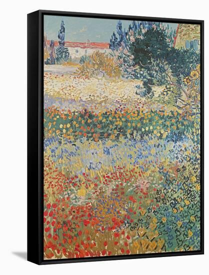 Garden in Bloom Arles, c.1888-Vincent van Gogh-Framed Stretched Canvas