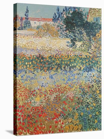 Garden in Bloom Arles, c.1888-Vincent van Gogh-Stretched Canvas