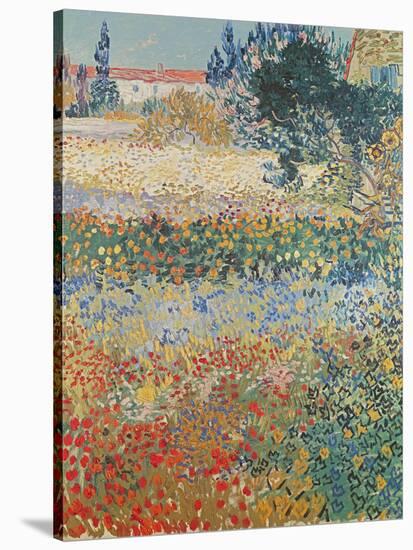 Garden in Bloom Arles, c.1888-Vincent van Gogh-Stretched Canvas