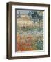 Garden in Bloom Arles, c.1888-Vincent van Gogh-Framed Premium Giclee Print