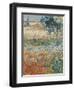 Garden in Bloom Arles, c.1888-Vincent van Gogh-Framed Premium Giclee Print