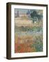 Garden in Bloom Arles, c.1888-Vincent van Gogh-Framed Premium Giclee Print