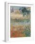 Garden in Bloom Arles, c.1888-Vincent van Gogh-Framed Premium Giclee Print